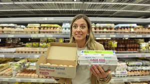 Œufs : en Europe, les prix des œufs au sol battent des records, contrairement à ceux de la cage